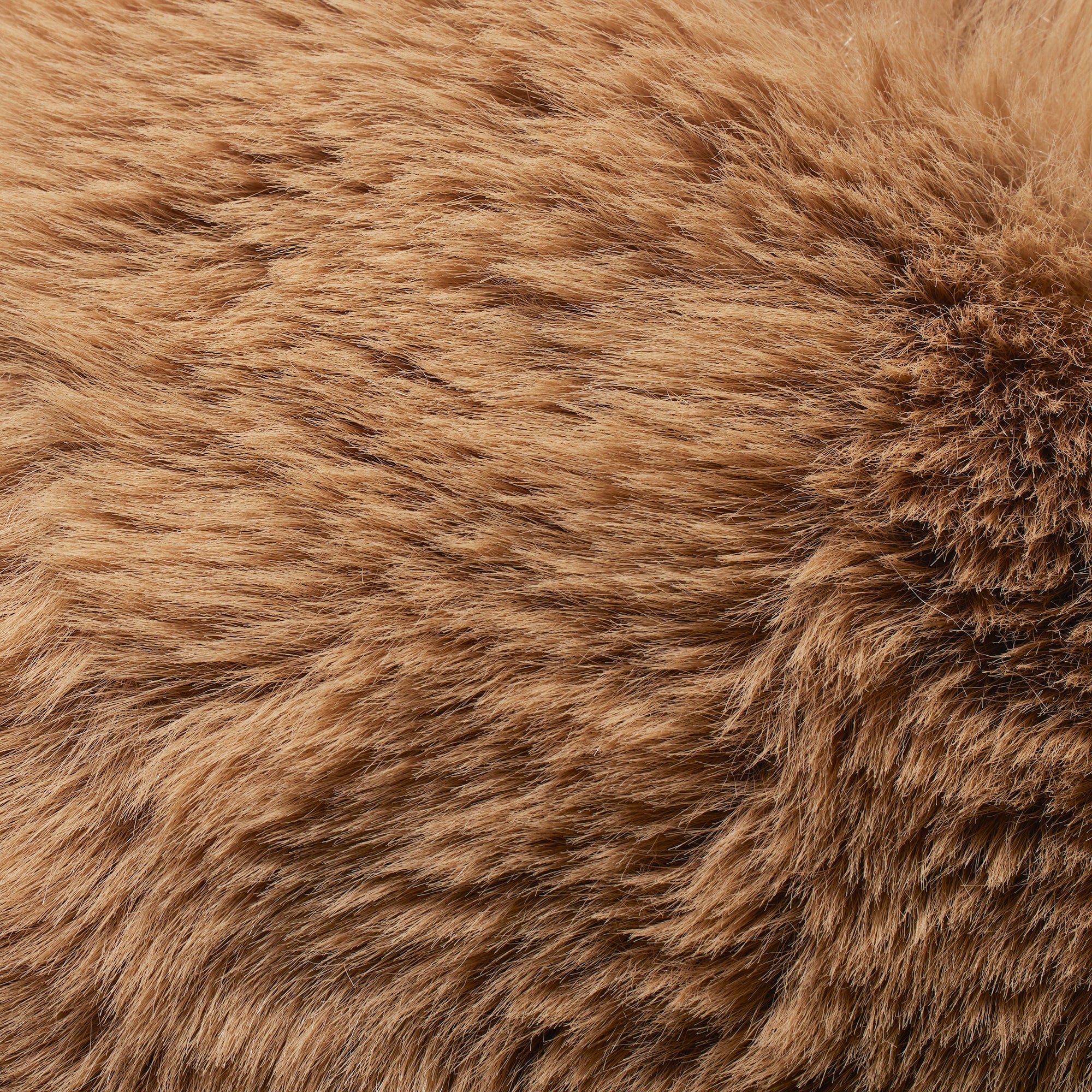 HAT - Image 2