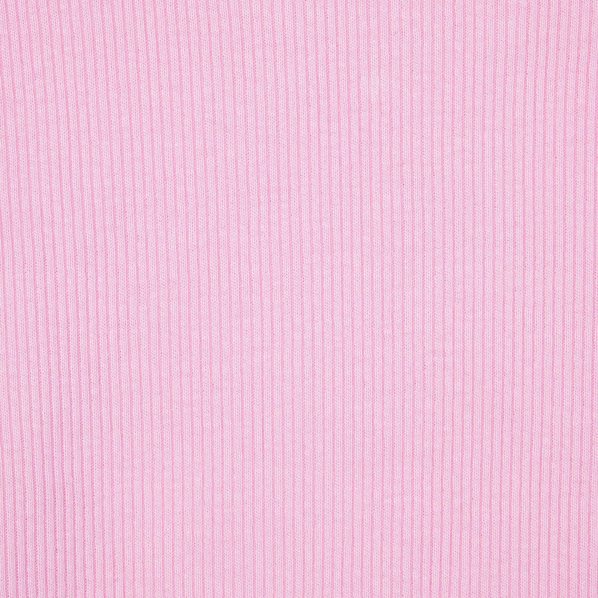 BOXER - Image 4