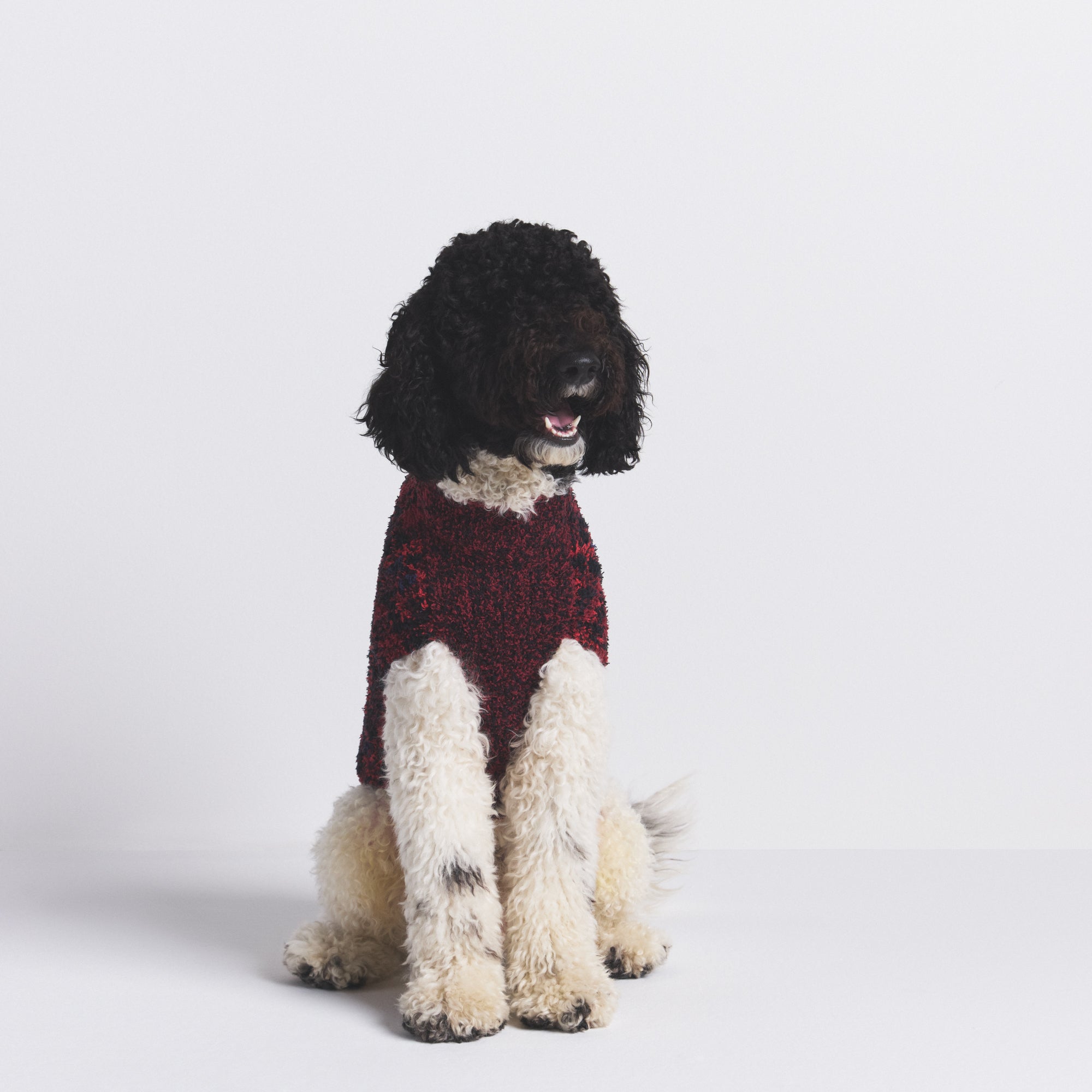 KNIT PET SWEATER - Image 2