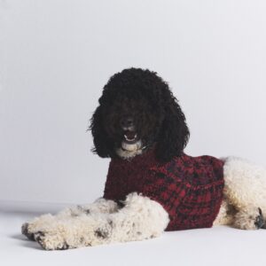 KNIT PET SWEATER