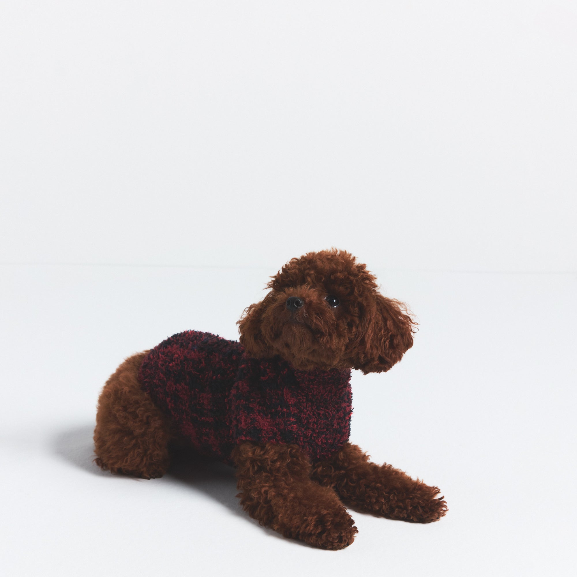 KNIT PET SWEATER - Image 3