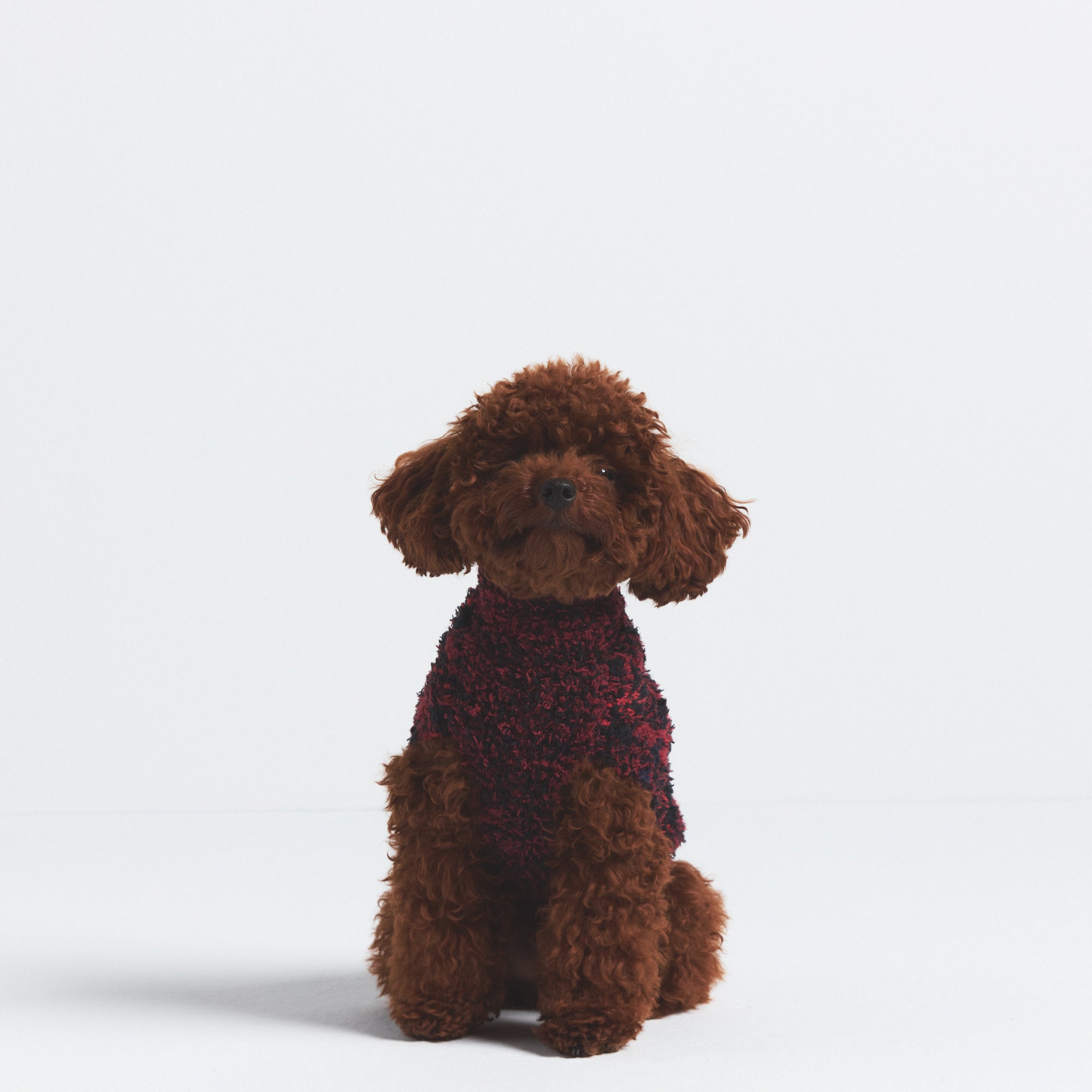 KNIT PET SWEATER - Image 4