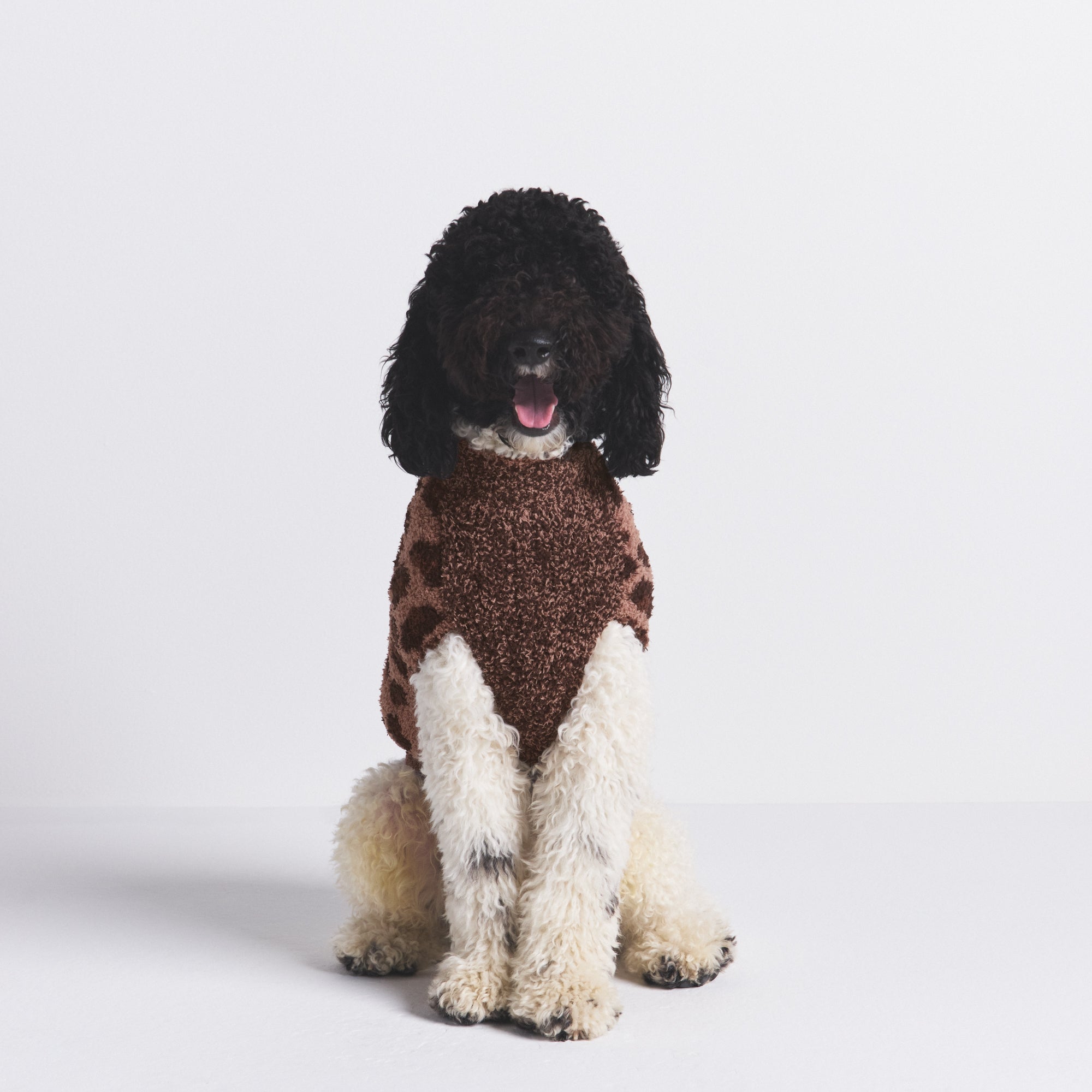 KNIT PET SWEATER - Image 4