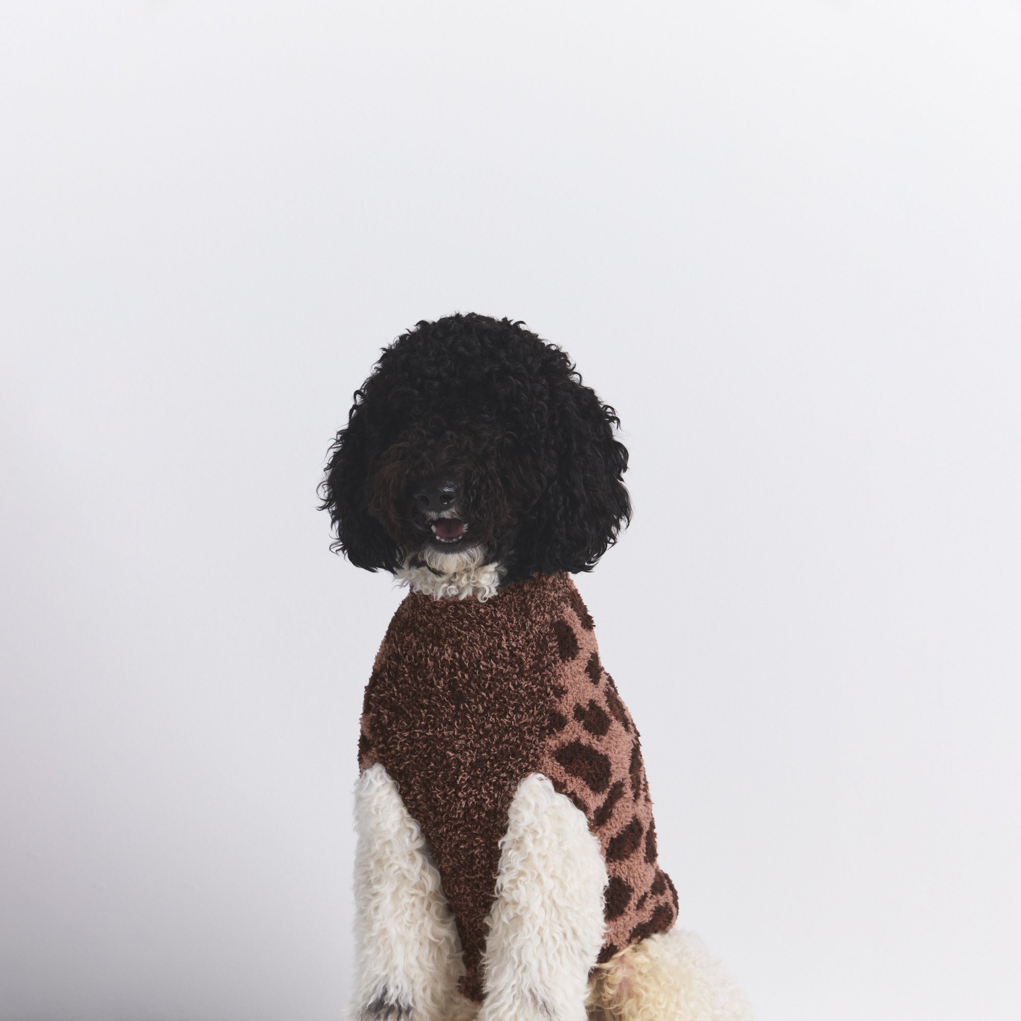 KNIT PET SWEATER - Image 6