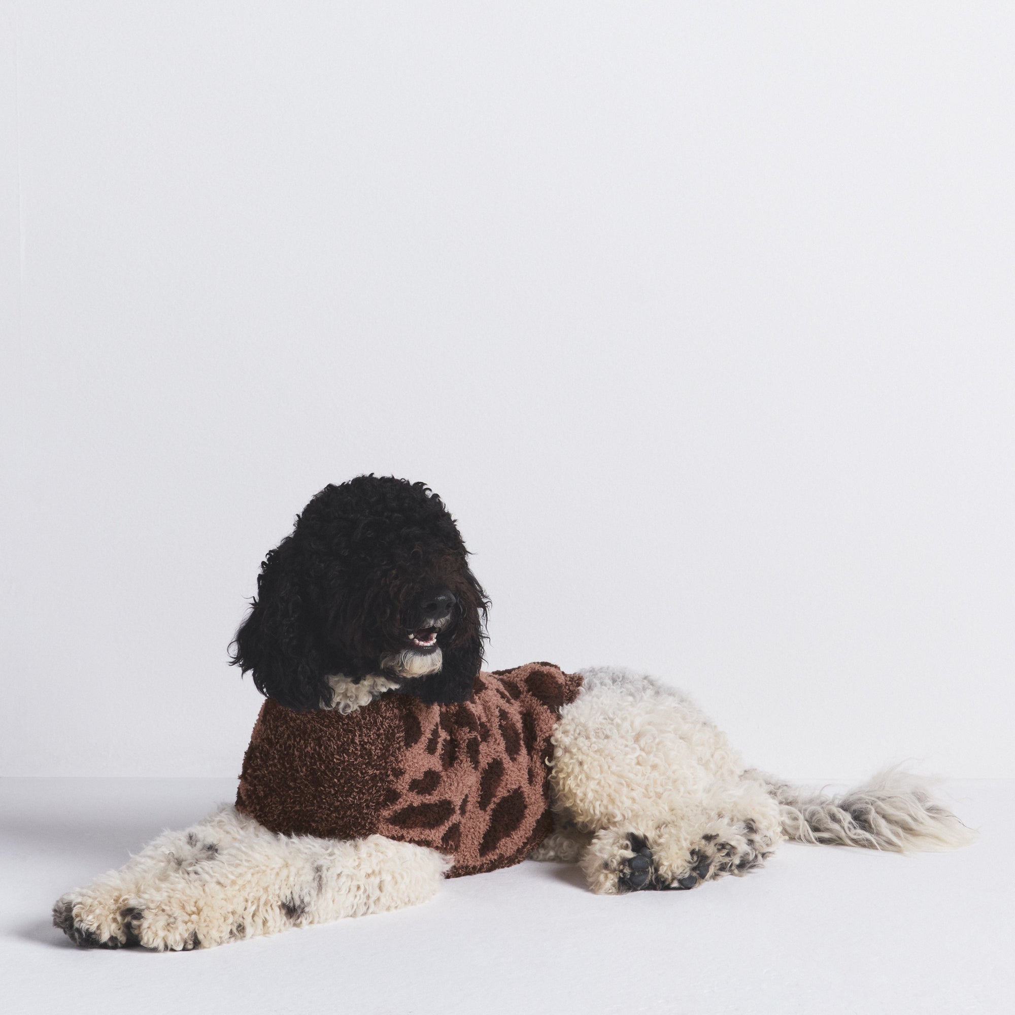 KNIT PET SWEATER - Image 5