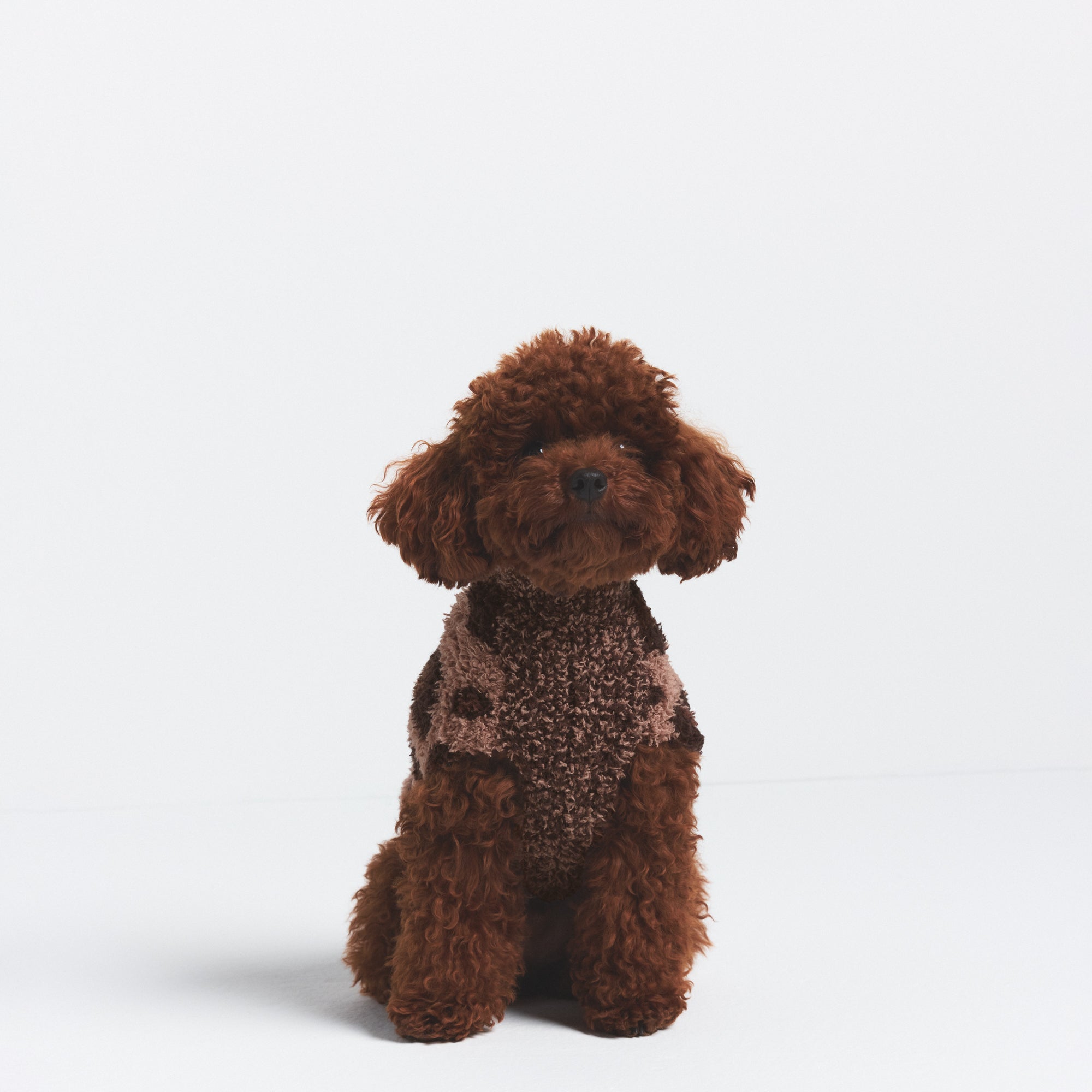 KNIT PET SWEATER - Image 2
