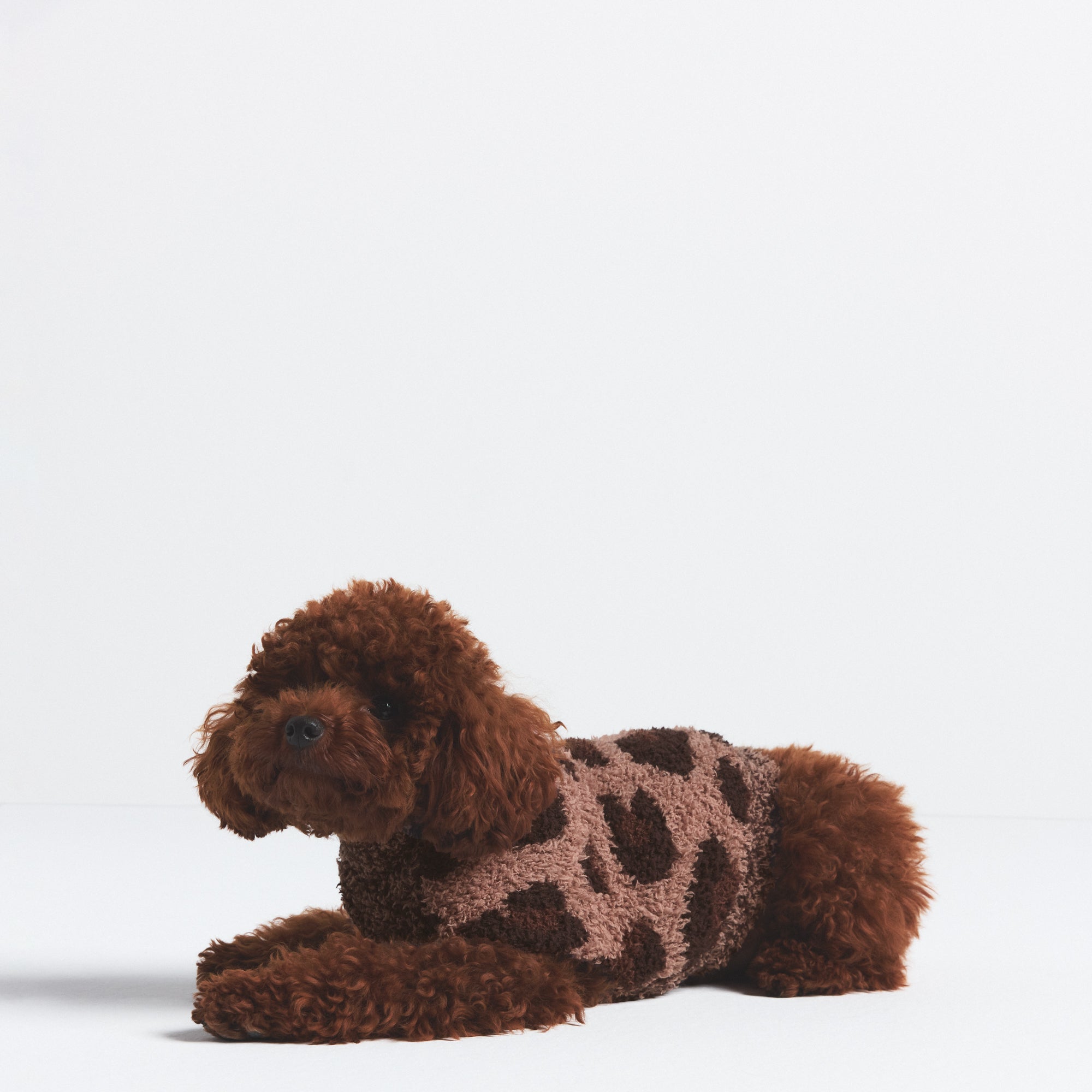 KNIT PET SWEATER - Image 3